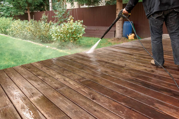 Best Solar Panel Cleaning  in Walnut Grove, GA