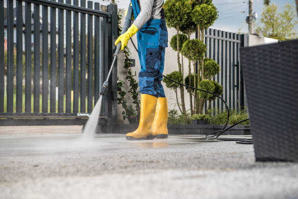 Best Driveway Pressure Washing  in Walnut Grove, GA