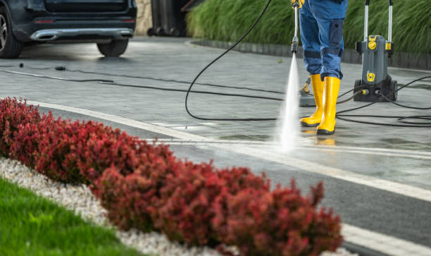 Best Gutter Cleaning  in Walnut Grove, GA
